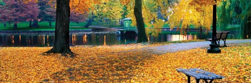 Y3UCPS2022 banner