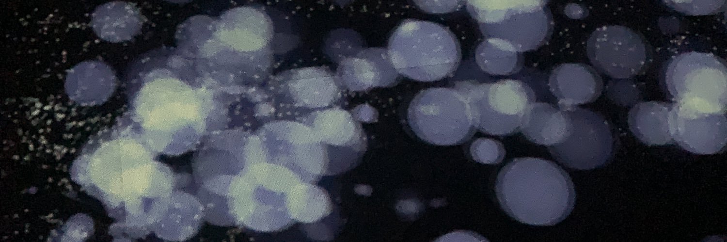 Rin@取引垢 プロカ有 banner