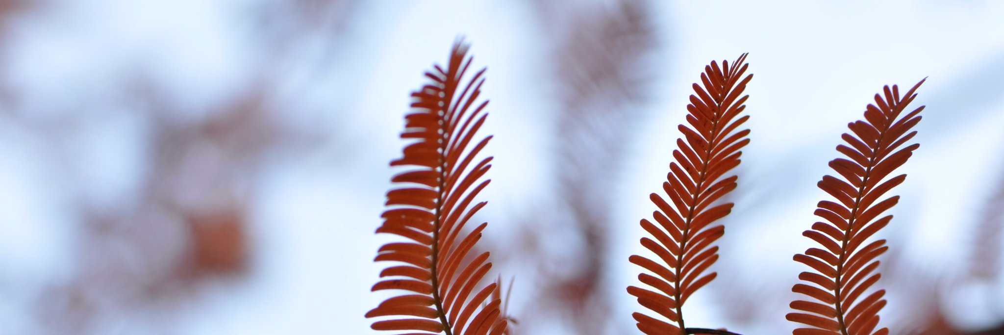 terryc_007's profile banner image