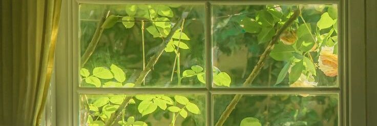 Gldn001's profile banner image