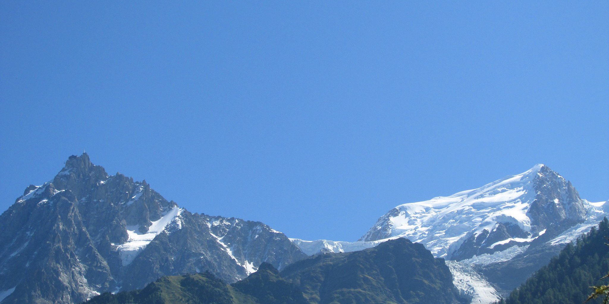 tm’ banner