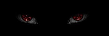 Rechhwill banner