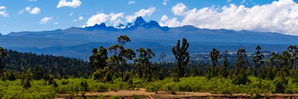 The Good Samaritan 💙🧡🌻🐦 banner