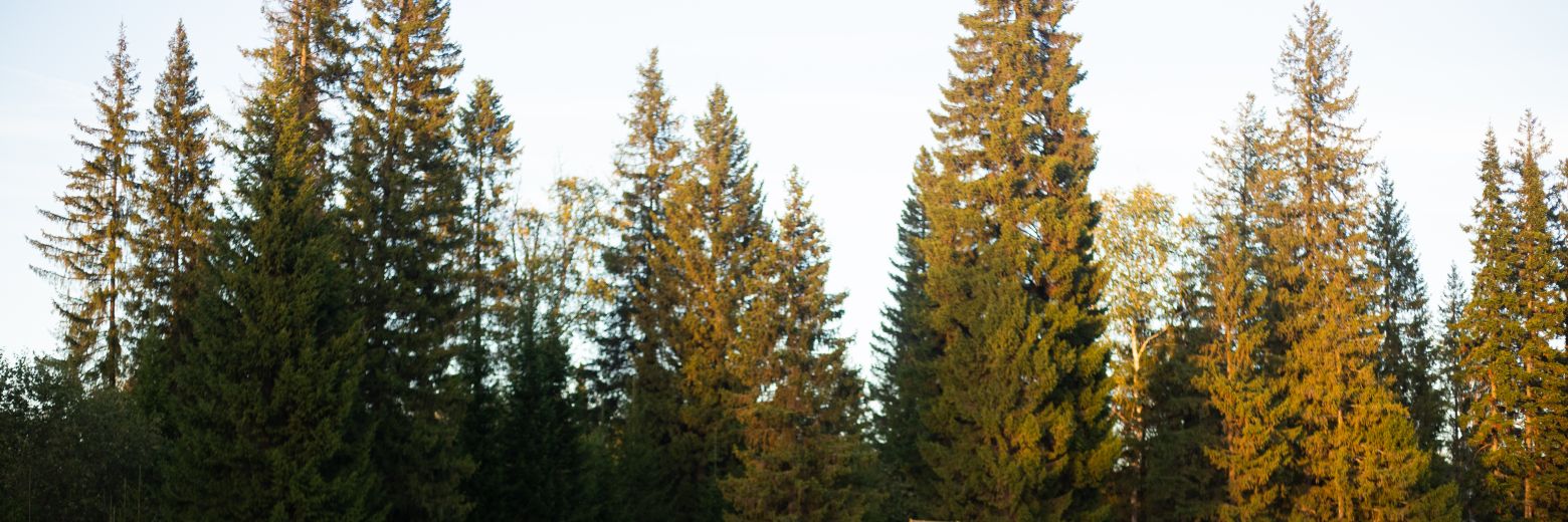 wabol_am's profile banner image