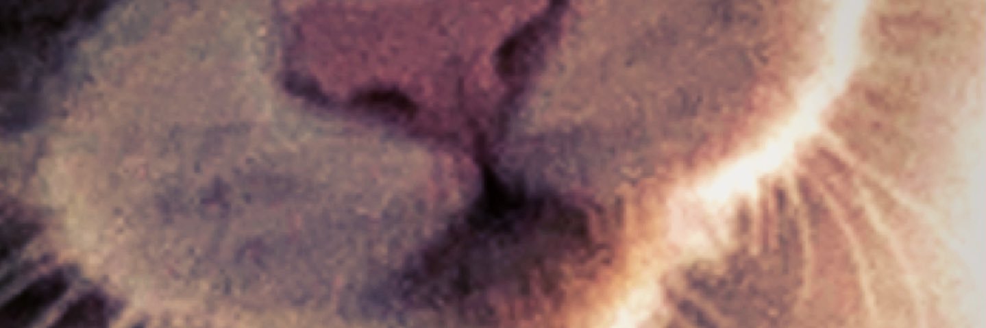 penaltibaba's profile banner image