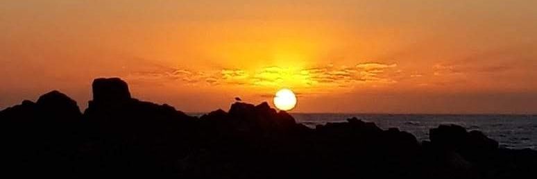 MunozLobos's profile banner image