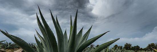 christi_23's profile banner image
