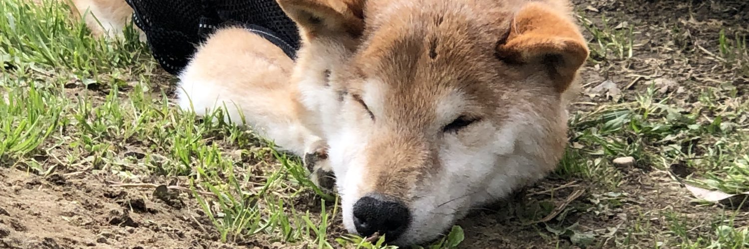 heiwanoryuu's profile banner image