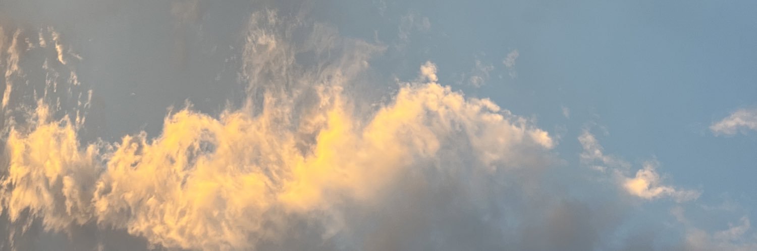 sxnsxtrom's profile banner image