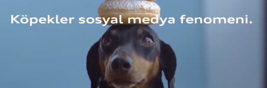 OOrsal's profile banner image