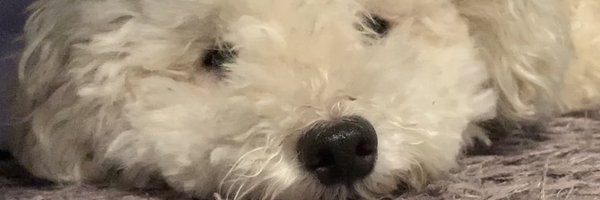 sora20222110 Profile Banner