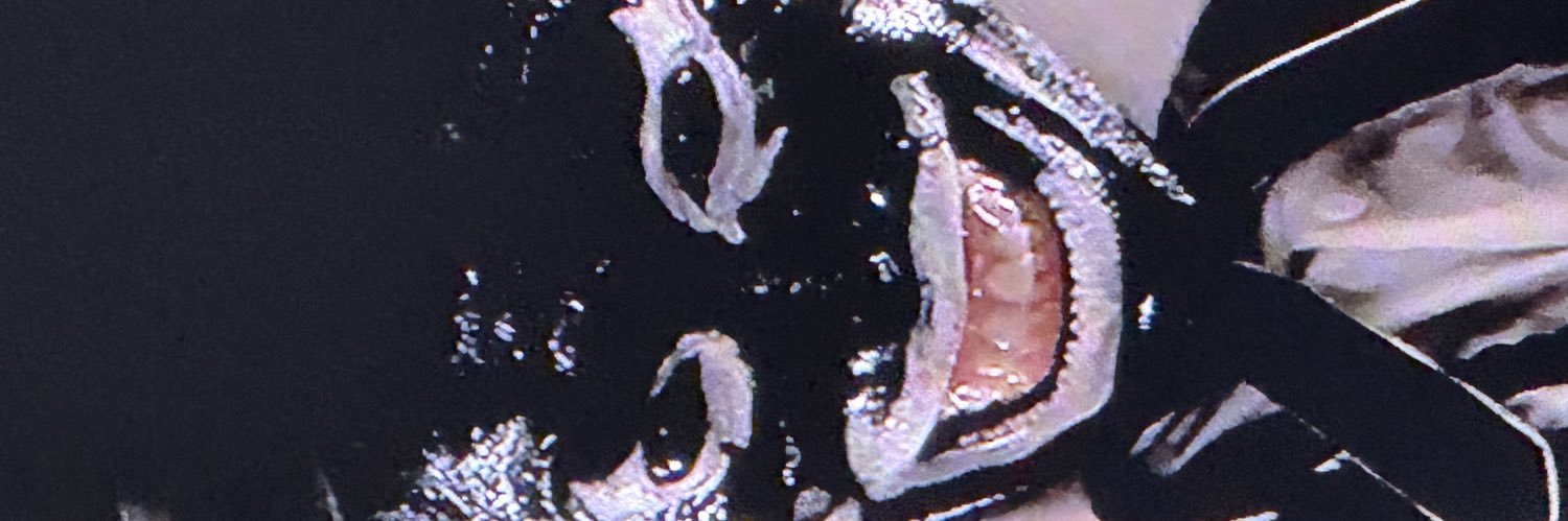 Brother Mooco banner