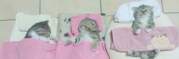 2cn_ge Profile Banner