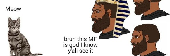 MrNimChimpsky's profile banner image