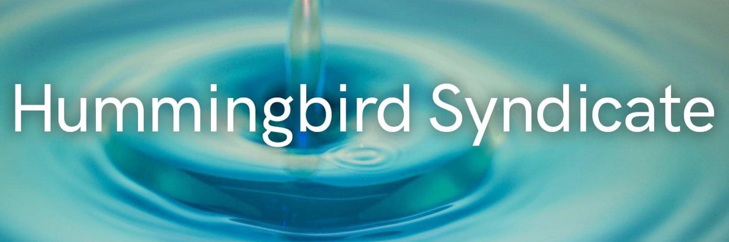 Hummingbird Syndicate banner