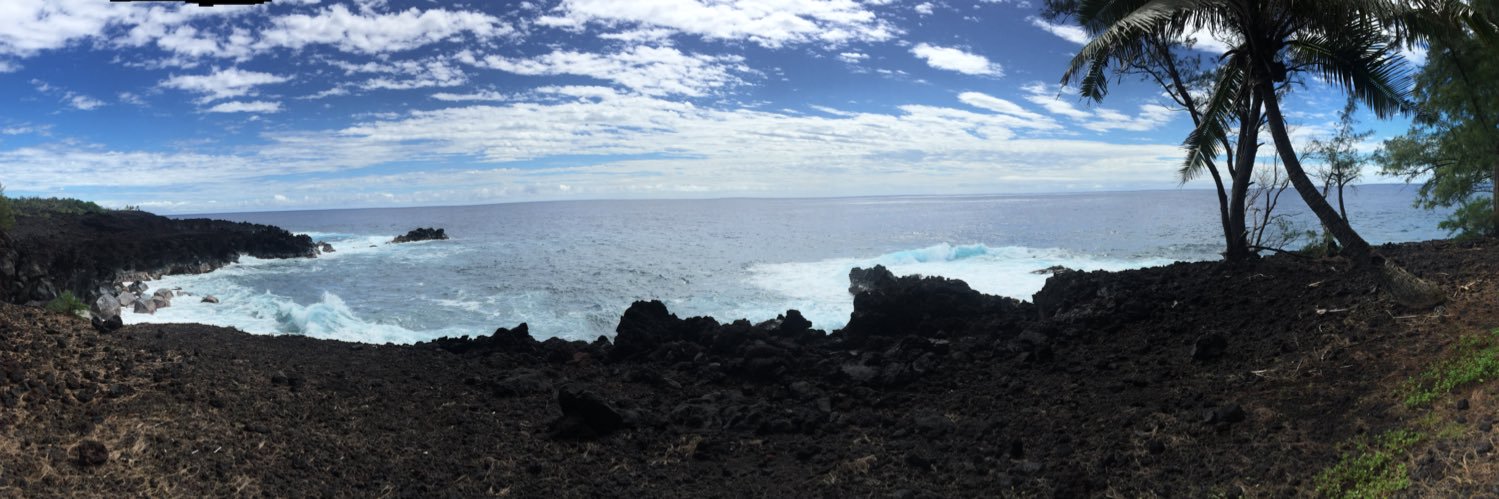 C’est Si Bon banner