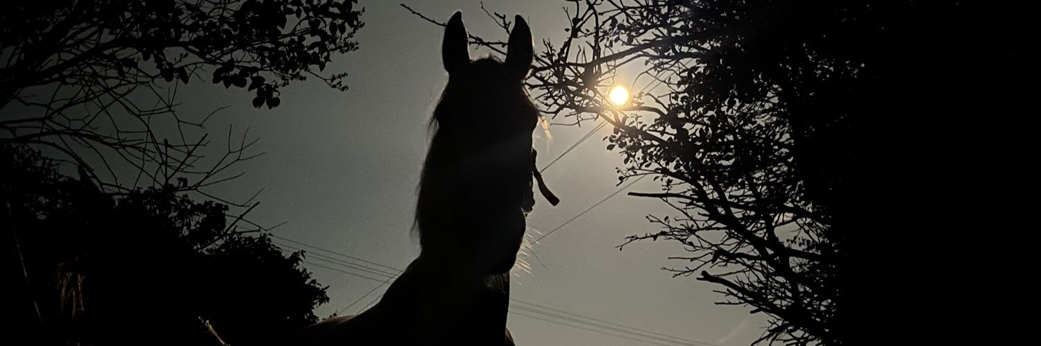 Wolos71's profile banner image