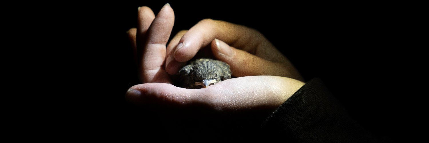 Joanna Sudyka banner