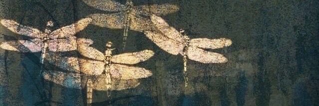 issy banner