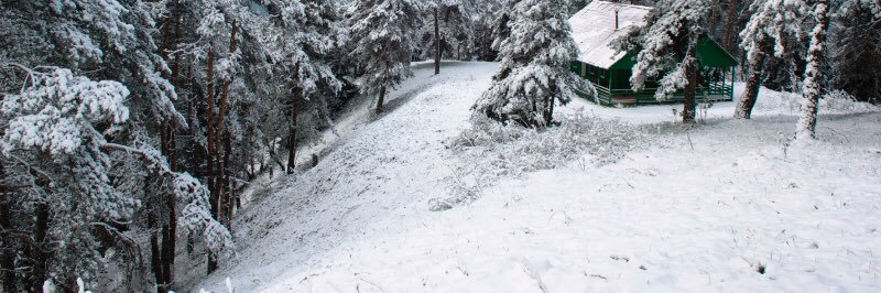 VANIKO  (Ivan) banner