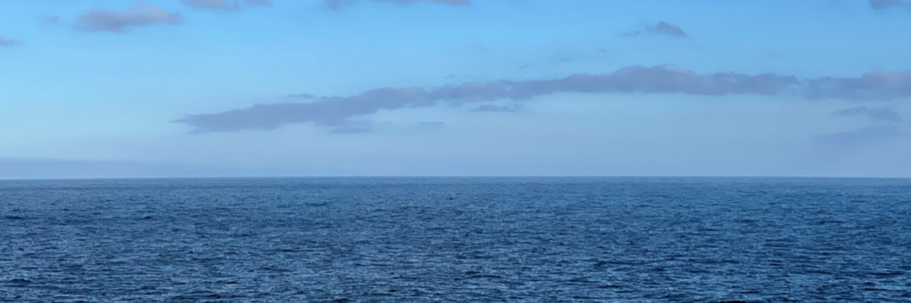 Ronald Mizzi banner