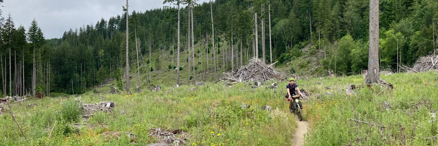 Michael Leach banner