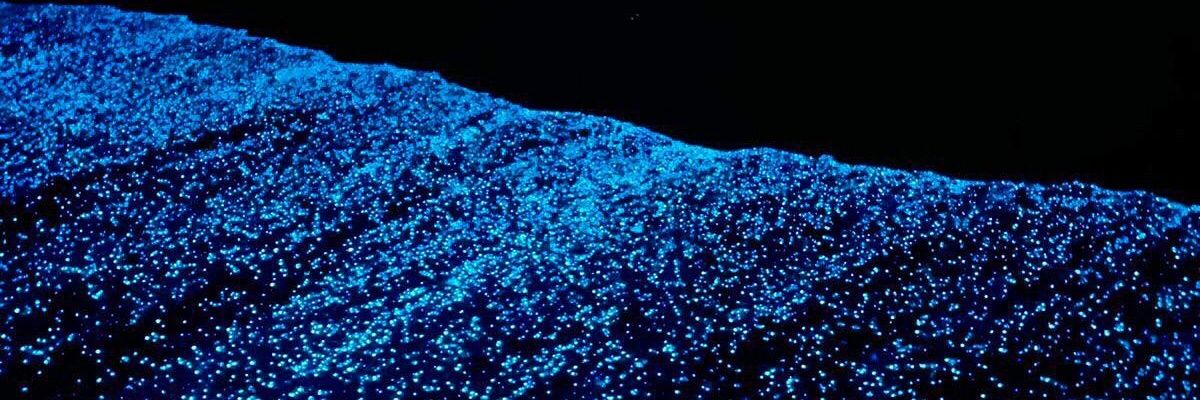 gutio09's profile banner image