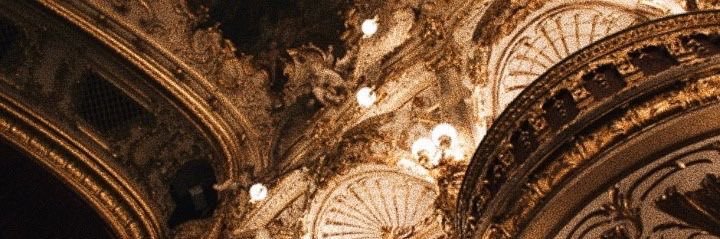 𝓥𝓪𝓷𝓷𝓮🌸 banner