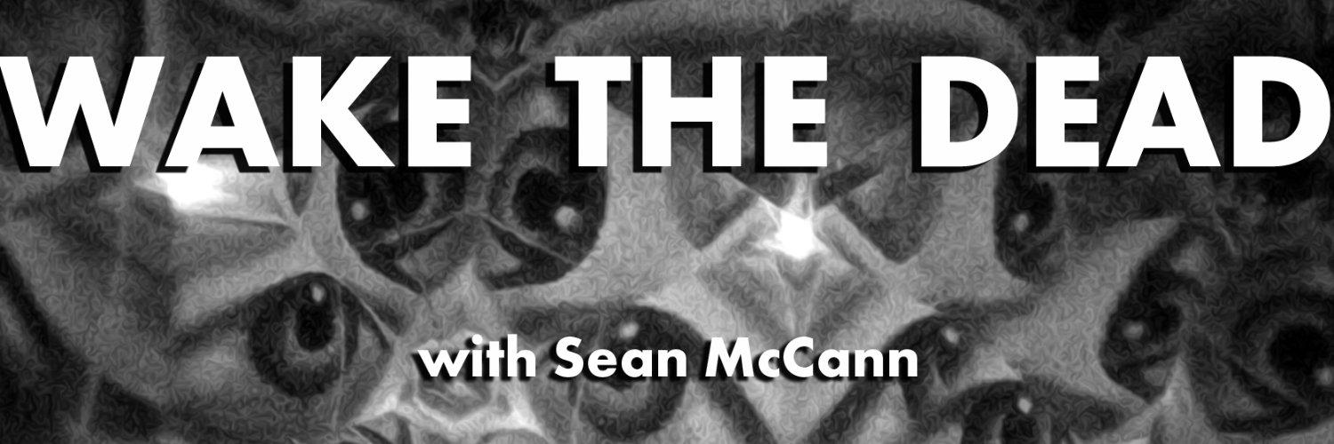 Wake the Dead banner