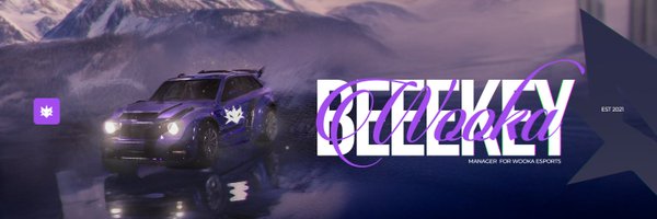 Beeekey1 Profile Banner
