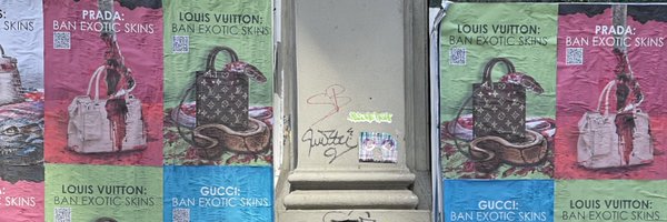 ashlovesmongo Profile Banner