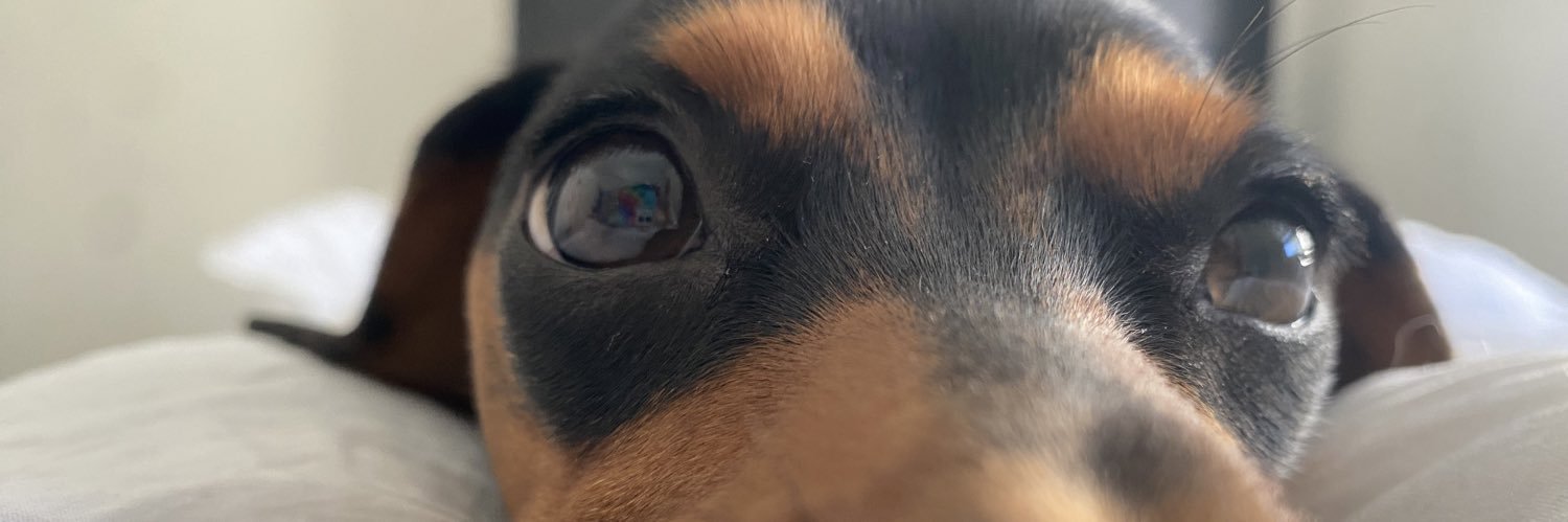 sxxcueva's profile banner image