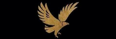 omarnageeb1's profile banner image