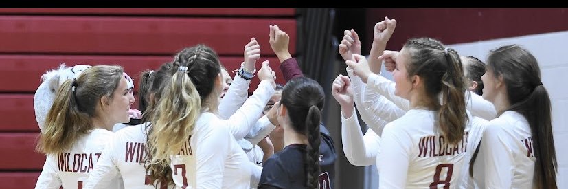 Ava Dickerson banner