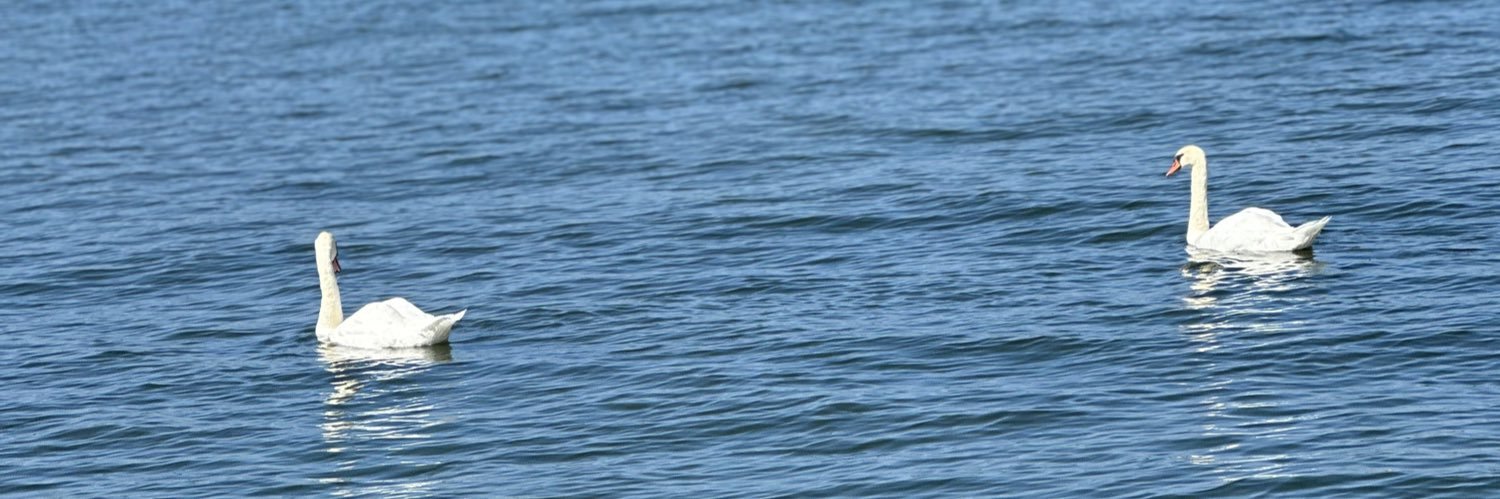 ICEverett12's profile banner image