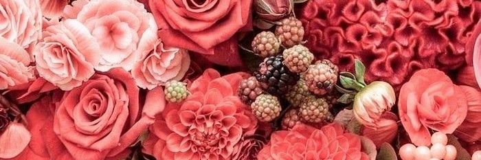 Clarabuble_'s profile banner image