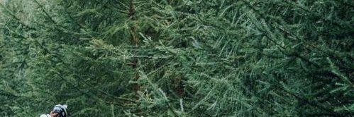 Punk3loopmare.eth banner