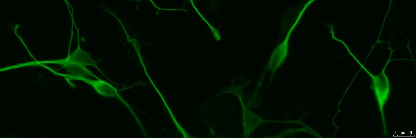 Dr. Janay Vacharasin banner