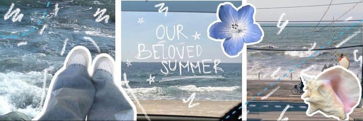 anin banner