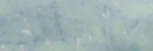 bd__20's profile banner image