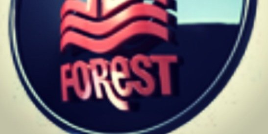 NFFC News banner