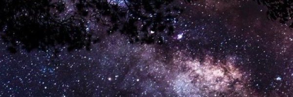 MargoPearl2 Profile Banner