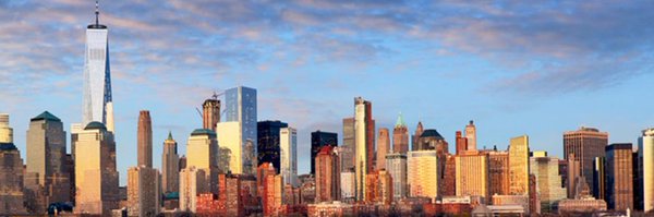 BrydieBartleet Profile Banner