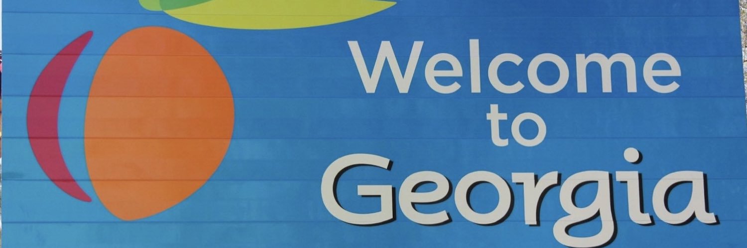 NAEMSP-Georgia Chapter banner