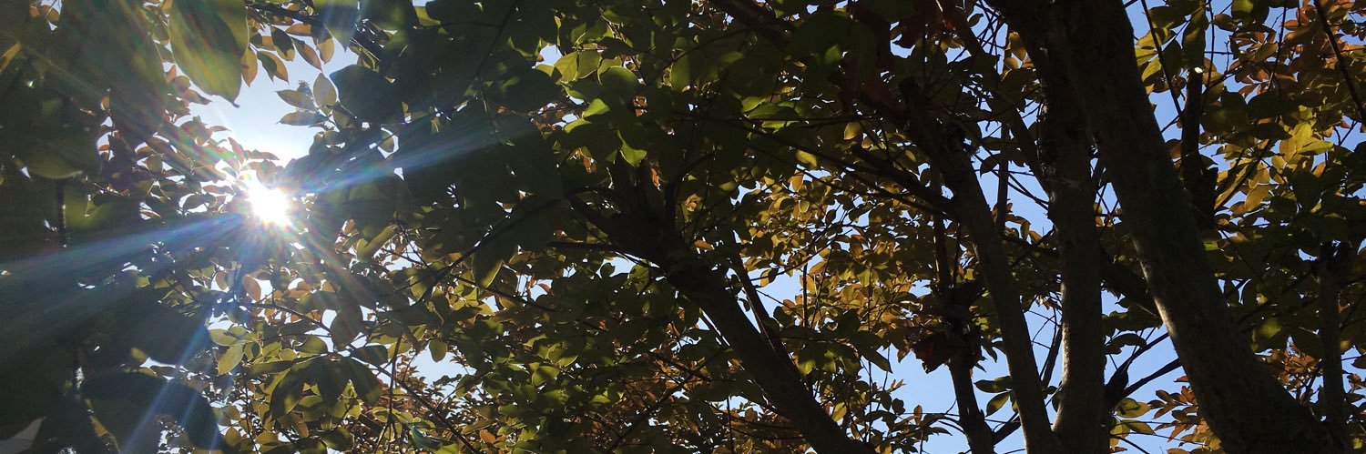 foundorphan's profile banner image