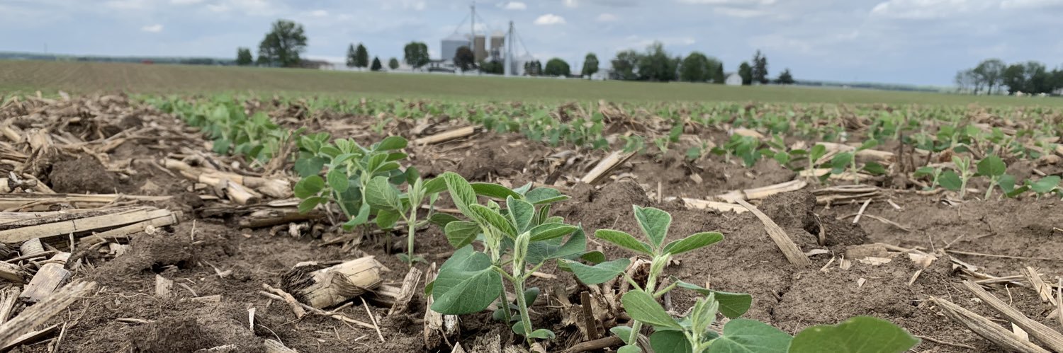 Sarah Dintelmann Wagner banner