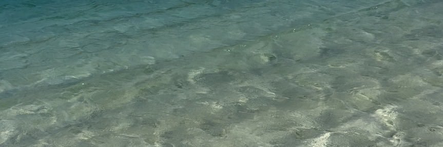 715💚 banner