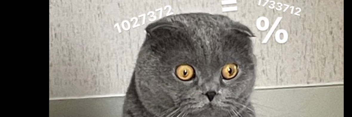purrrry's profile banner image