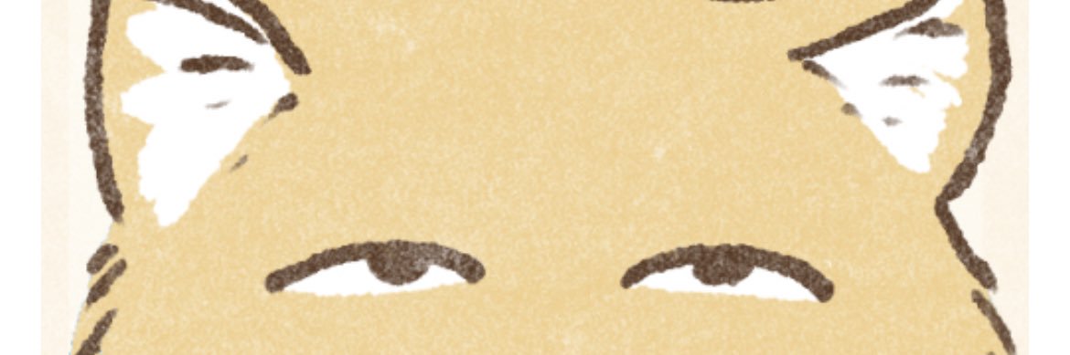 どらいりりー banner