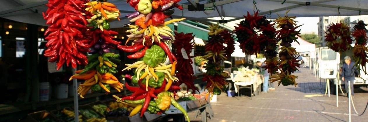 Simon Stewart banner